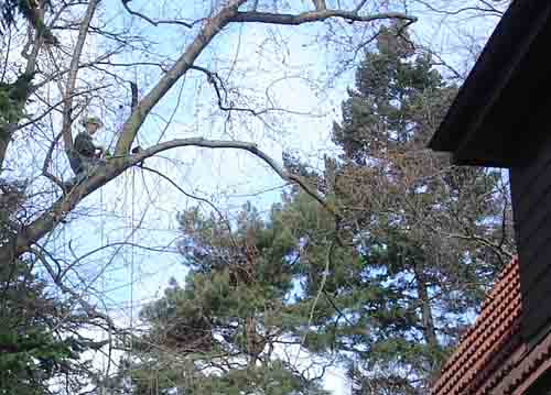 photo04