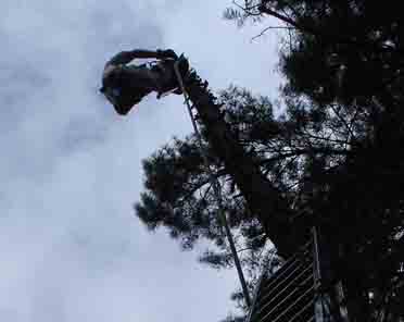 photo06