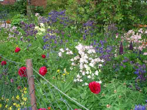 photo07
