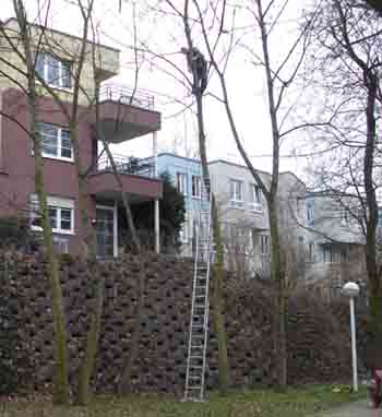 photo08