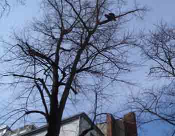 photo09