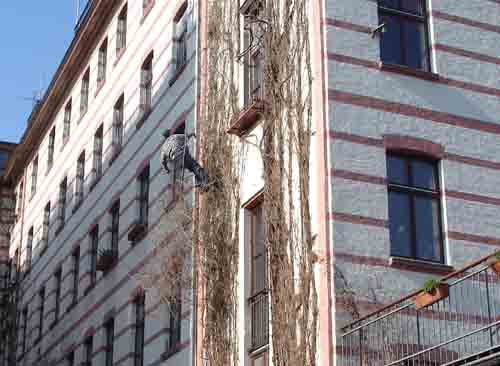 photo11