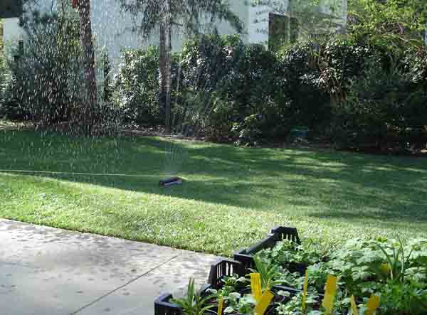 photo17