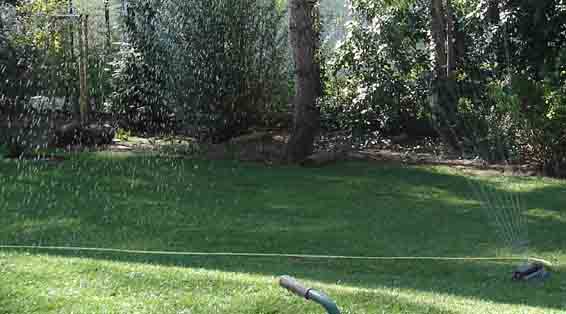 photo18