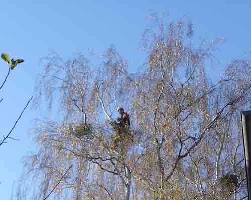 photo20