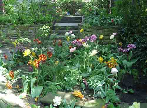 photo25